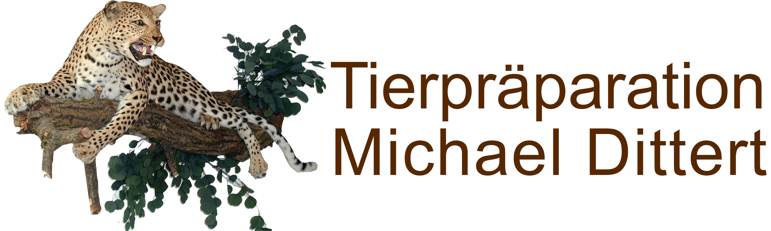 Tierpräparation Michael Dittert