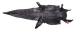 Caimanleder Bauchschnitt 36cm