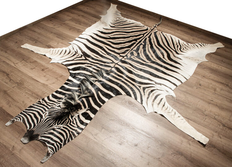 Steppenzebrafell XL