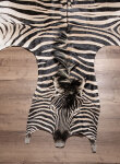 Steppenzebrafell XL
