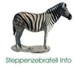 Steppenzebrafell Info