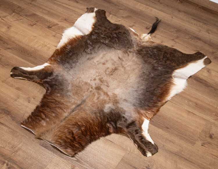 Blessbockfell XXL