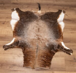 Blessbockfell XXL