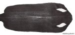 Rochenleder lang geschliffen Rochenledr 9 Inch Breite:...