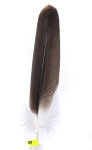 Schneegeier Feder 39cm
