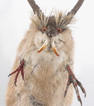 Wolpertinger