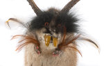 Wolpertinger