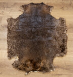Kanadisches Biberfell XXL