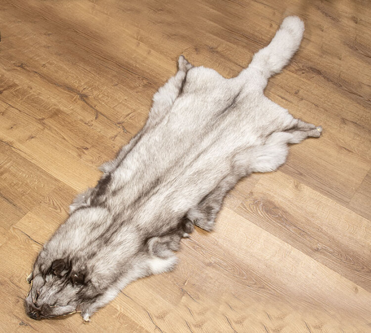 Tierfell kaufen | Fell Teppich | Echte Felle