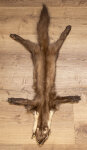 Baummarder Fell XXL