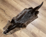 Kanadisches Otterfell 120cm