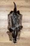 Kanadisches Otterfell 120cm