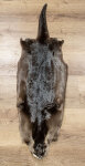 Kanadisches Otterfell 118cm