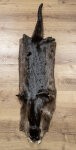 Kanadisches Otterfell 130cm