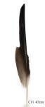 Steinadler Feder 47cm