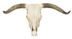 Highland Trophäe L