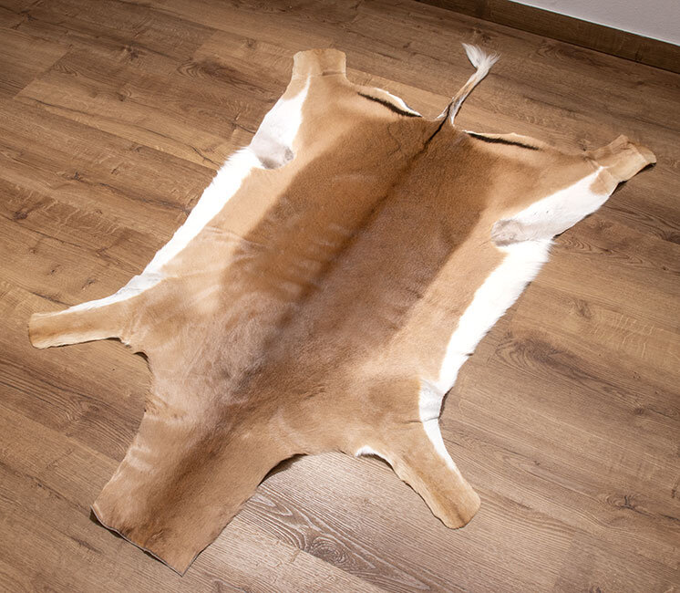 Impalafell XXL