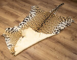 Jaguarfell
