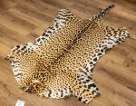 Jaguarfell