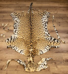 Jaguarfell