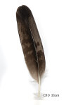 Steinadler Feder 33cm