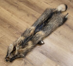 Marderhundfell L