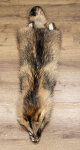 Marderhundfell L