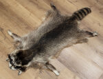 Waschbärfell XXL