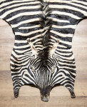 Steppenzebrafell L
