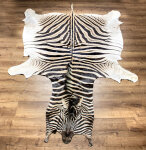 Steppenzebrafell XXL