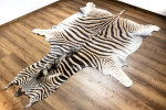 Steppenzebrafell XL