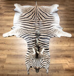 Steppenzebrafell XL