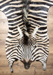 Steppenzebrafell XL