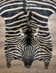 Steppenzebrafell XXL