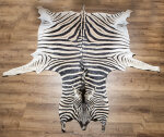 Steppenzebrafell XL