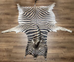Steppenzebrafell XXL