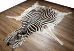 Steppenzebrafell XL