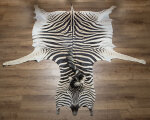 Steppenzebrafell XL