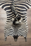Steppenzebrafell XL