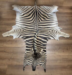Steppenzebrafell XL