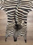 Steppenzebrafell XL