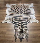 Steppenzebrafell XXL