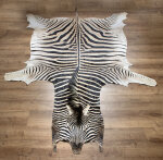 Steppenzebrafell XL