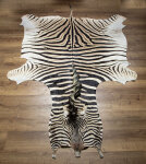 Steppenzebrafell XL