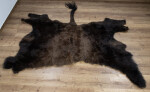 Bisonfellhälfte