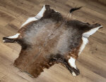 Blessbockfell XXL