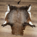 Blessbockfell XXL