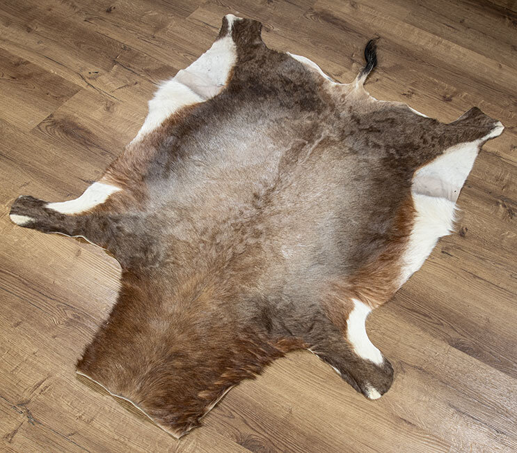 Blessbockfell XXL
