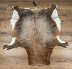Blessbockfell XXL