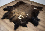Bisonfell XL